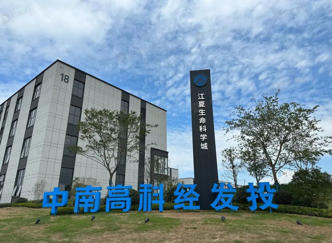 武汉厂房出售 江夏厂房出售  大平层现房600平起售 中南高科经发投·江夏生命科学城——光谷南大健康产业核心载体