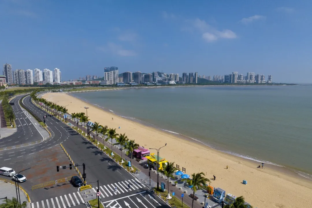 珠海高新区知识产权保护与服务,知识产权 · 专利保护 · 服务体系
