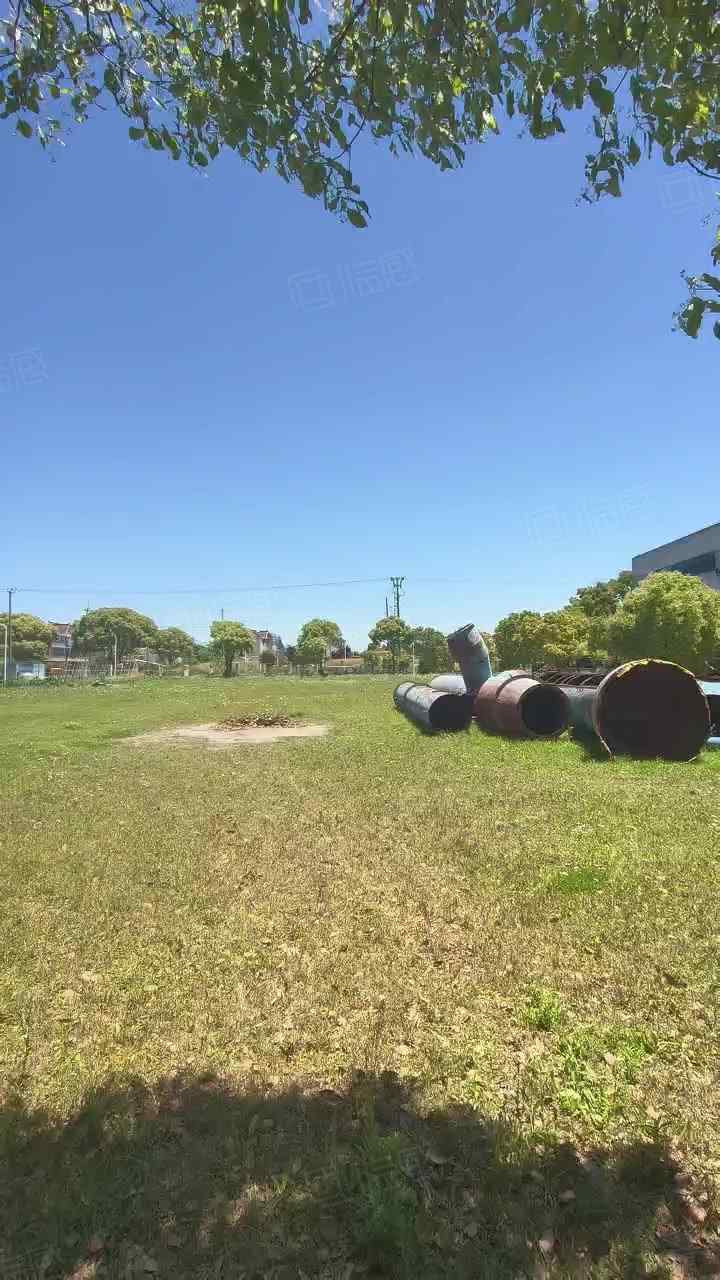 仓库出租，占地35亩 单层净高11米 配备办公区域 大片空地