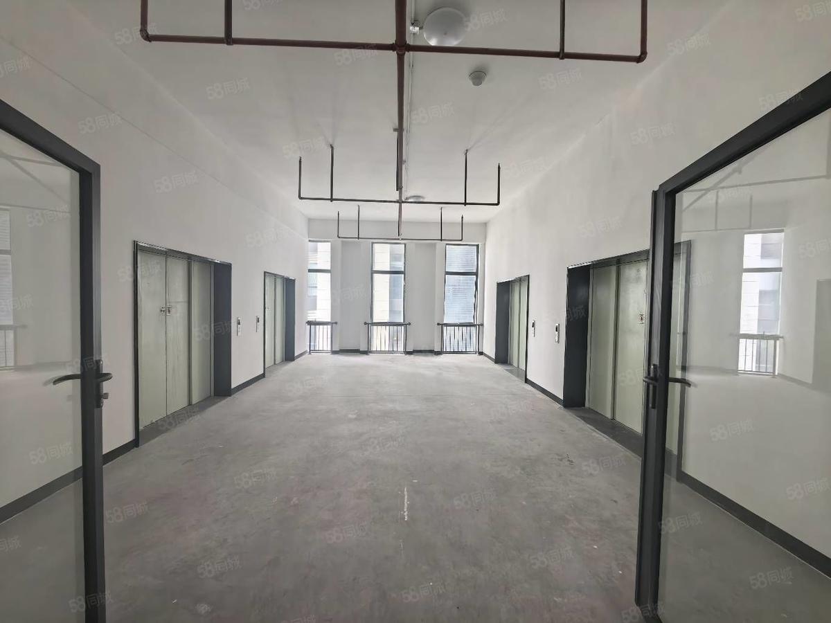 无公摊1860平独栋，麻涌城区新沙港免租期6个月！新建厂房出租8块一平方含9个点专票