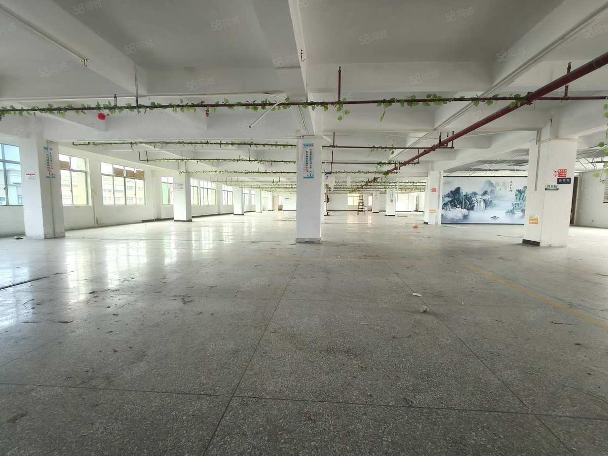 厂房实景