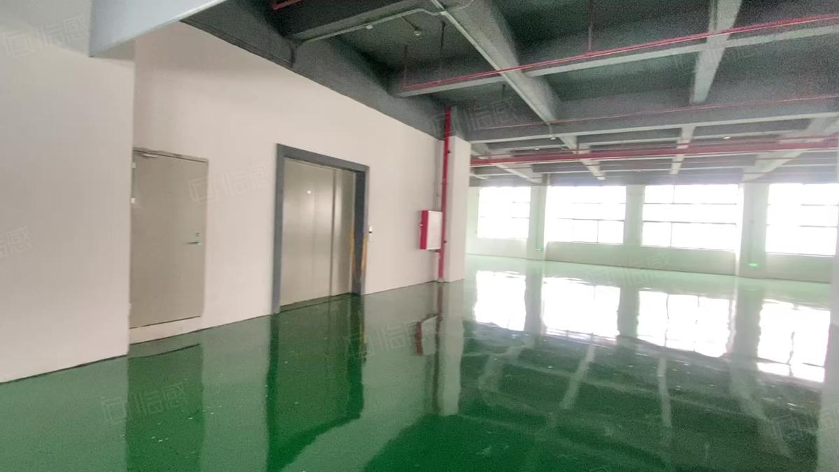 1350方和3700方多层可分租，上海全新地坪漆大开发区厂房出租