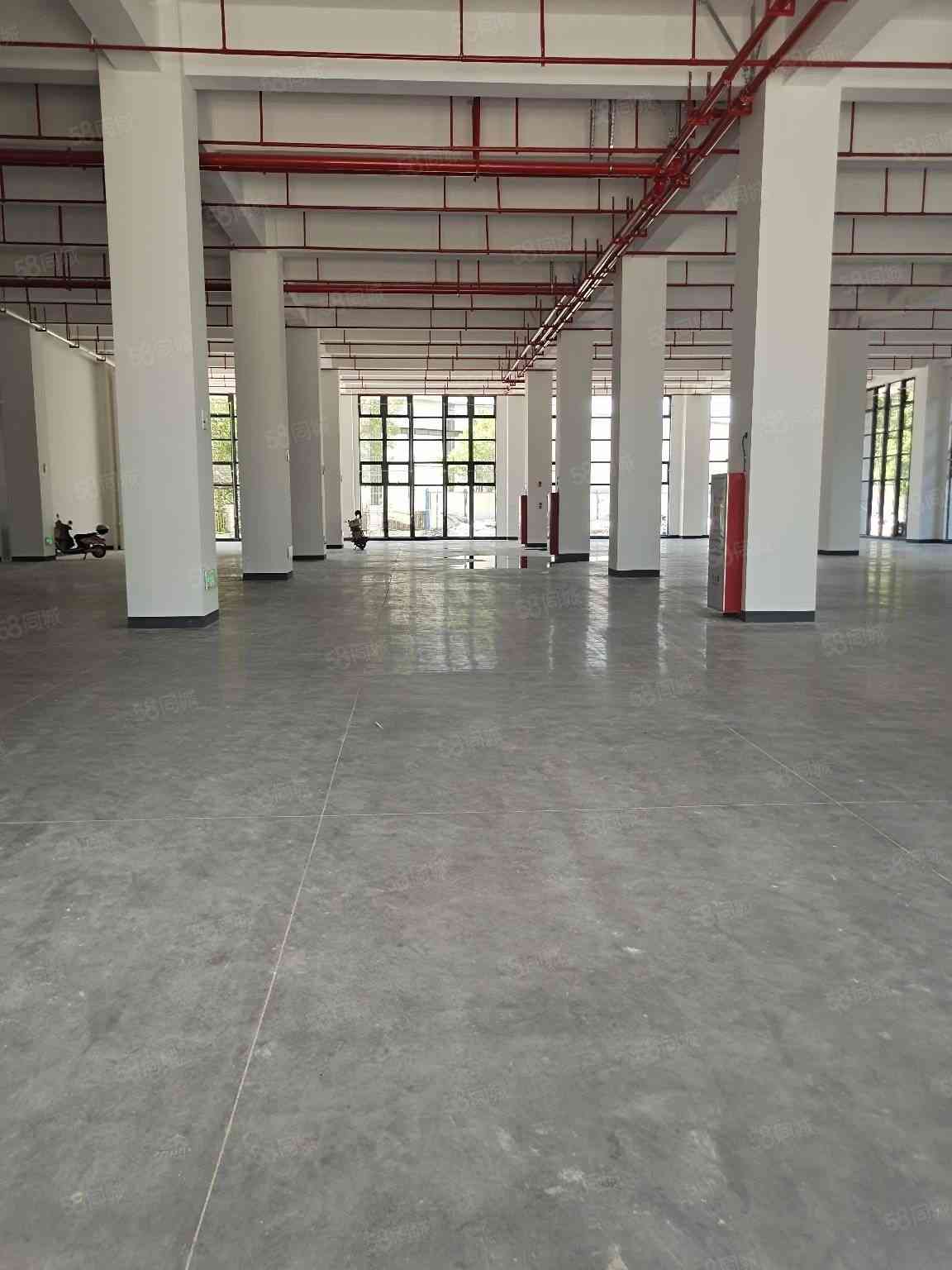 厦门制造区全新整栋厂房出租仓库行业不限环评好过通勤便利大小可分15000平标准厂房多层