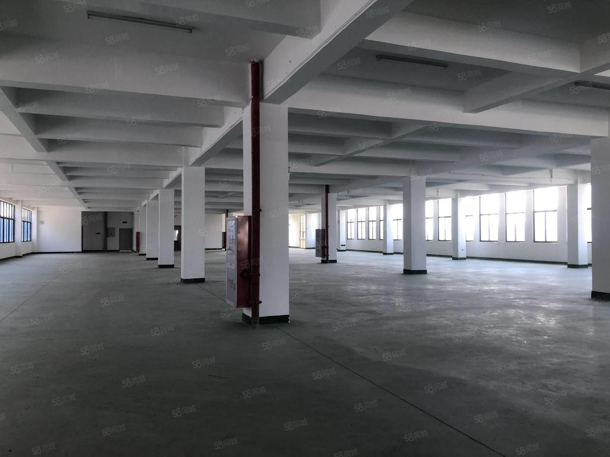 厂房实景