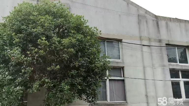 武汉7旁厂房 孝感市汉川市博发化纤纺织厂蔡甸蔡甸10000平厂房出租单层通勤便利