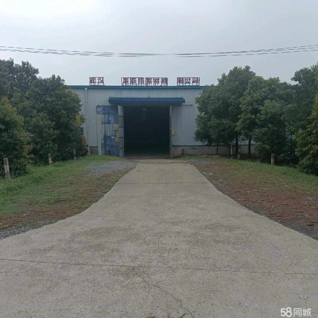 厂房实景