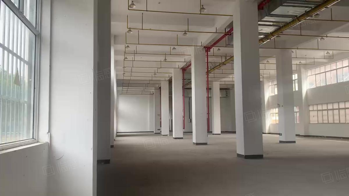 武汉东西湖1288可分租一楼净高6米配置办公室业厂房出租单层