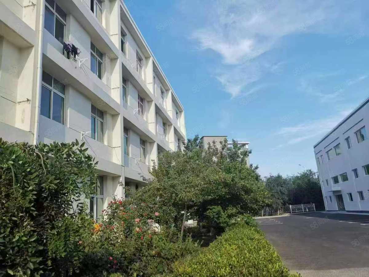 【推荐】大连开发区双D港员工公寓 综合楼开发区双D港厂房5400平厂房出租多层