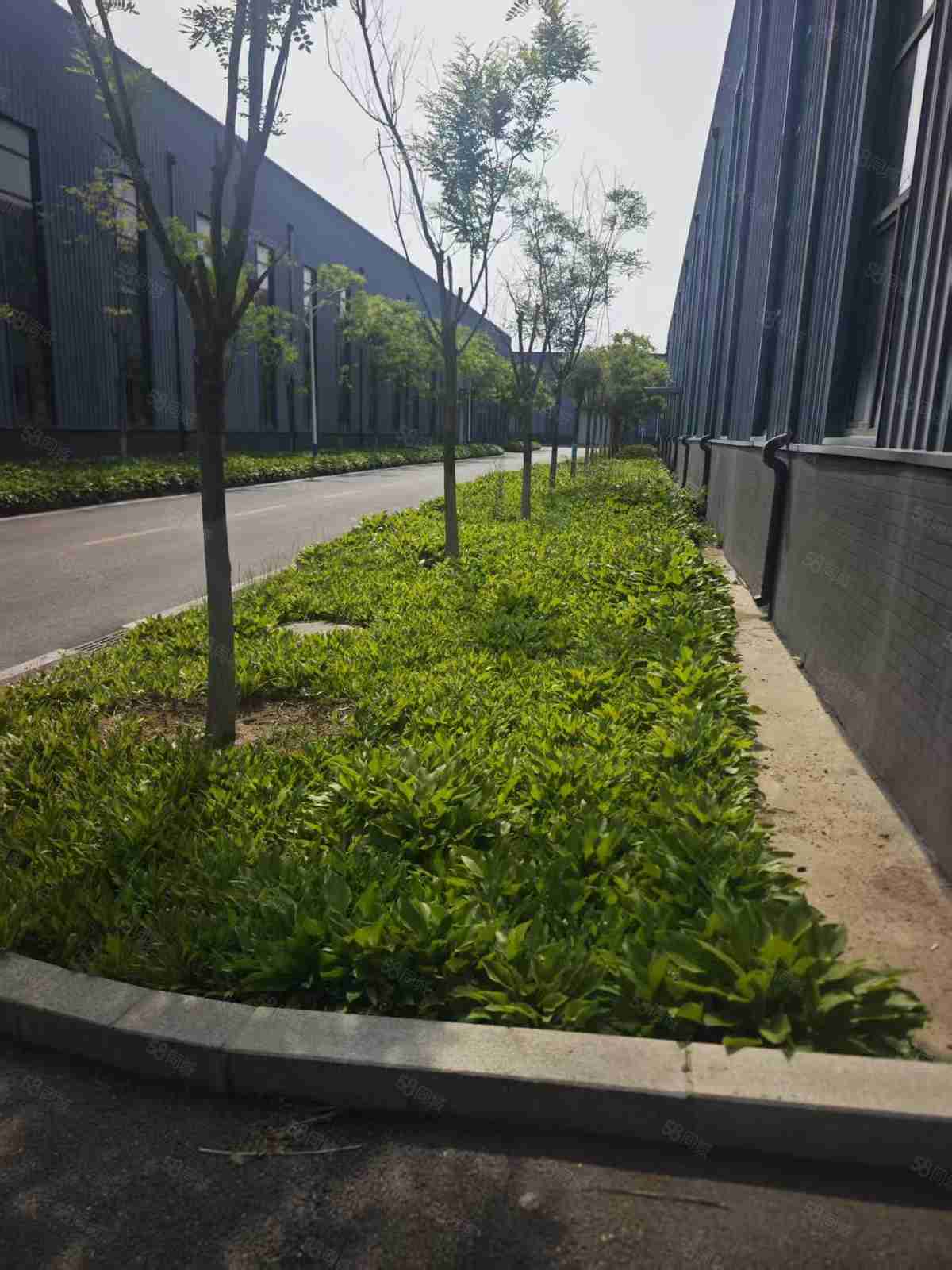 厂房实景