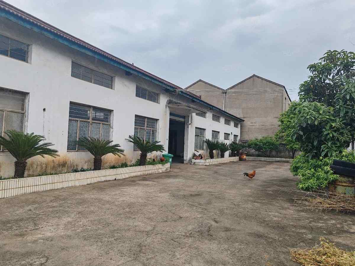 【推荐】宁波低塘独门独院带办公住人400平方余姚低塘厂房出租单层