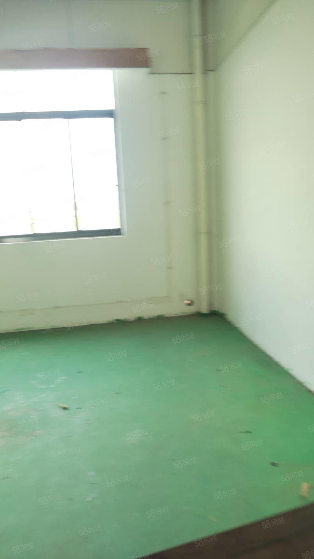 厂房实景