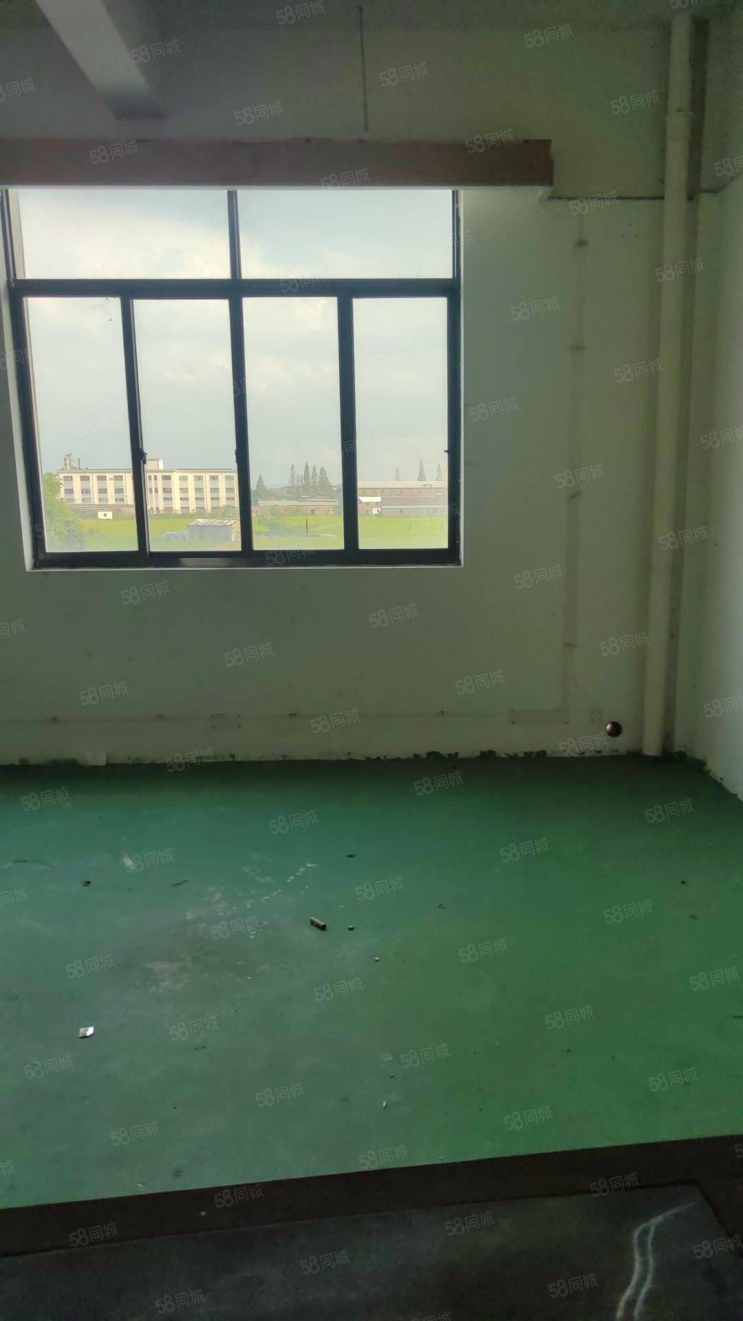厂房实景