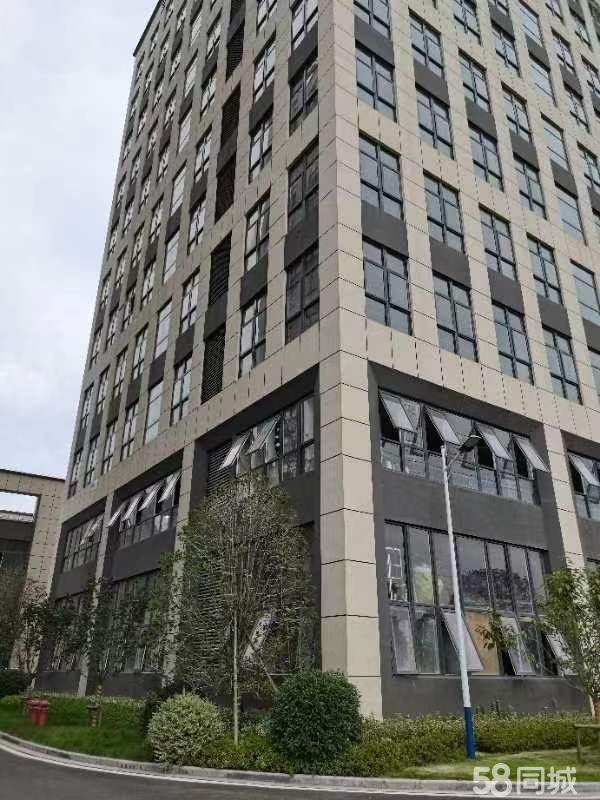 慈溪高新区全新厂房出租，宁波个人房东直租，非中介可可2453平厂房出售单层