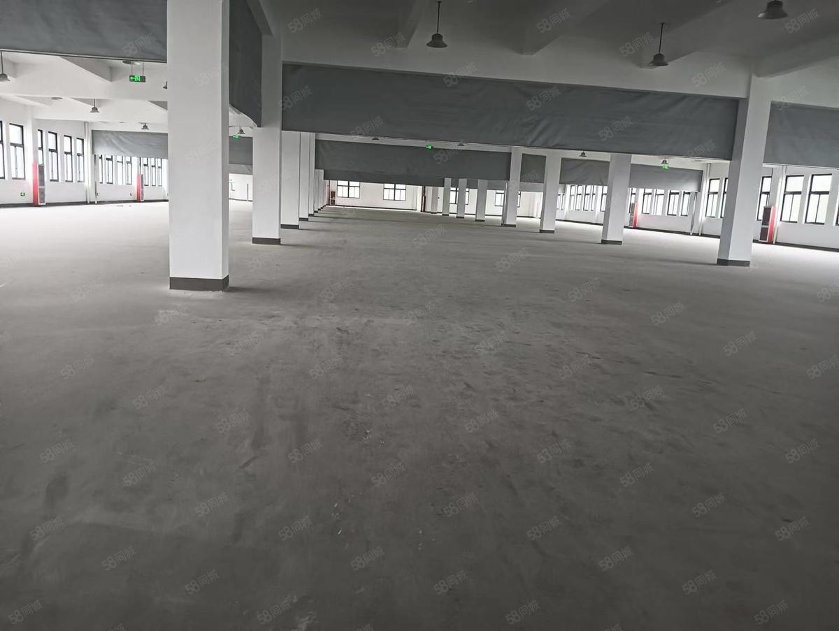 厂房实景