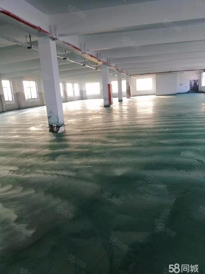 邹区灯具城旁三楼厂房钟楼邹区厂房仓2500平厂房出租多层，常州房东直租