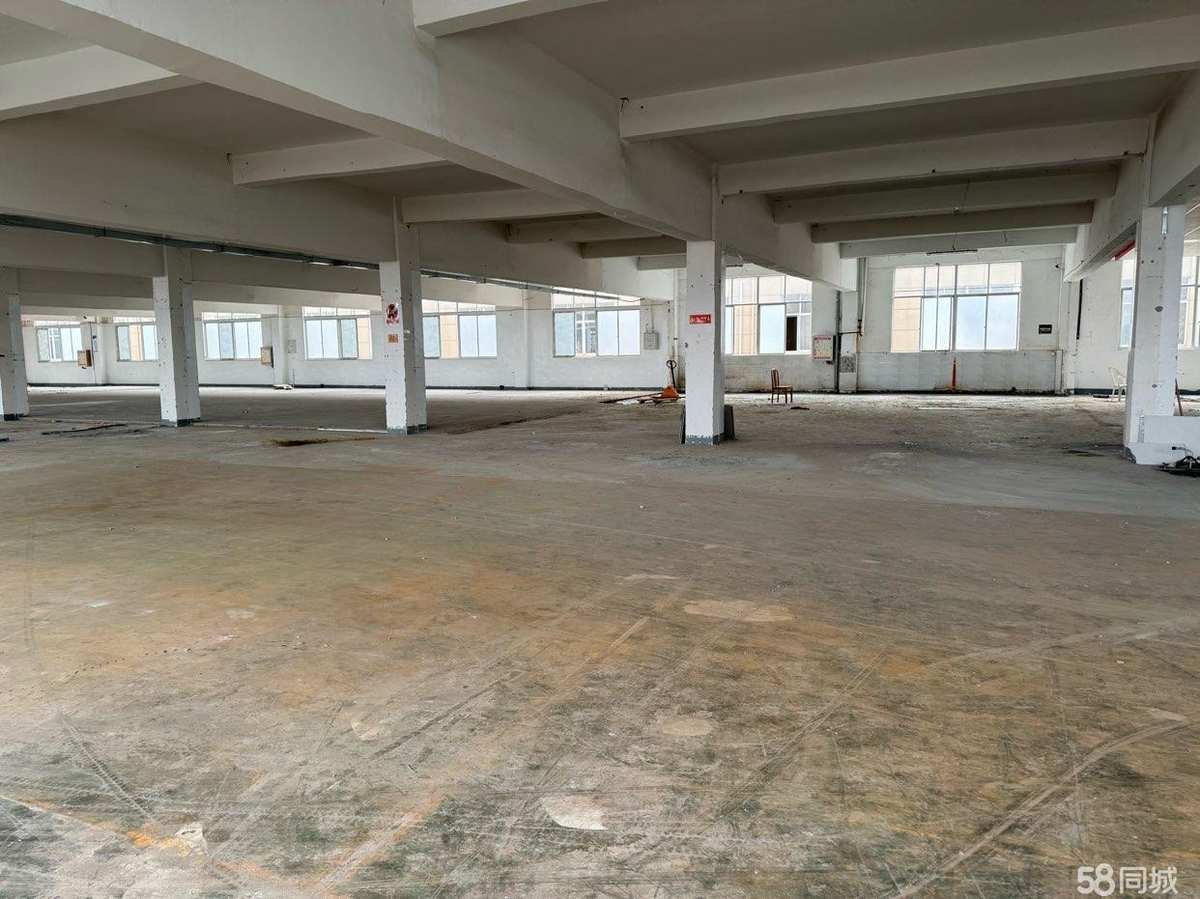 上海个人，价格美丽，没有中介商赚差价无3300平厂房出租单层通勤便利，先到先得