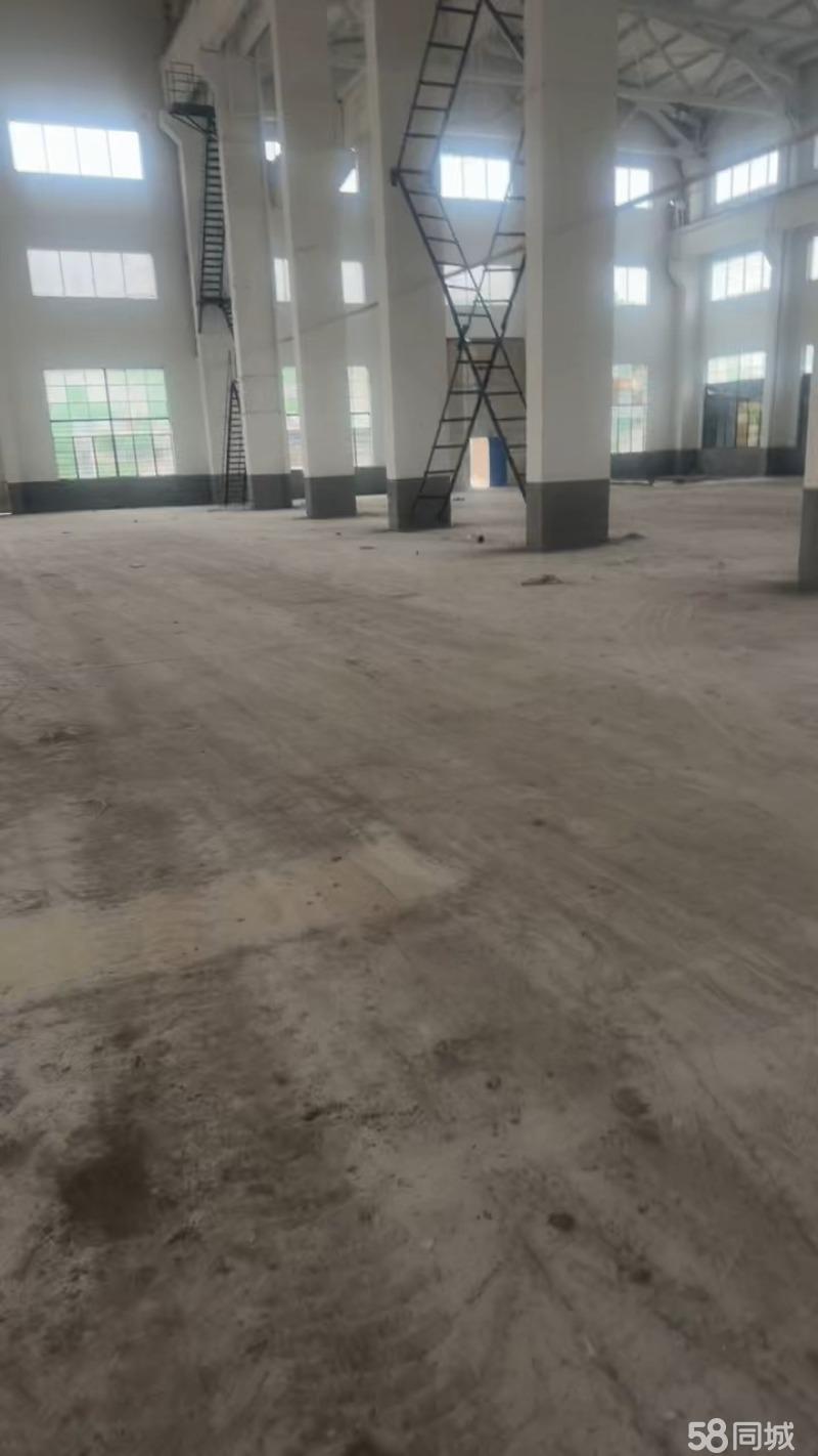 【推荐】12000㎡ 超高厂房+6000kVA专变+厂房出租独门独院单层