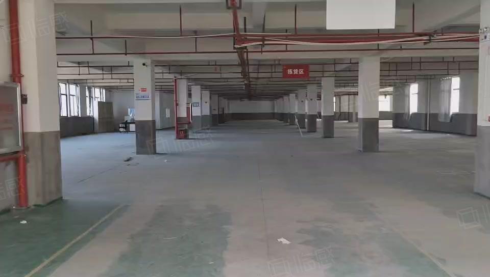 展厅办公直播生产科技研发厂房出租独栋单层，杭州50到20000方