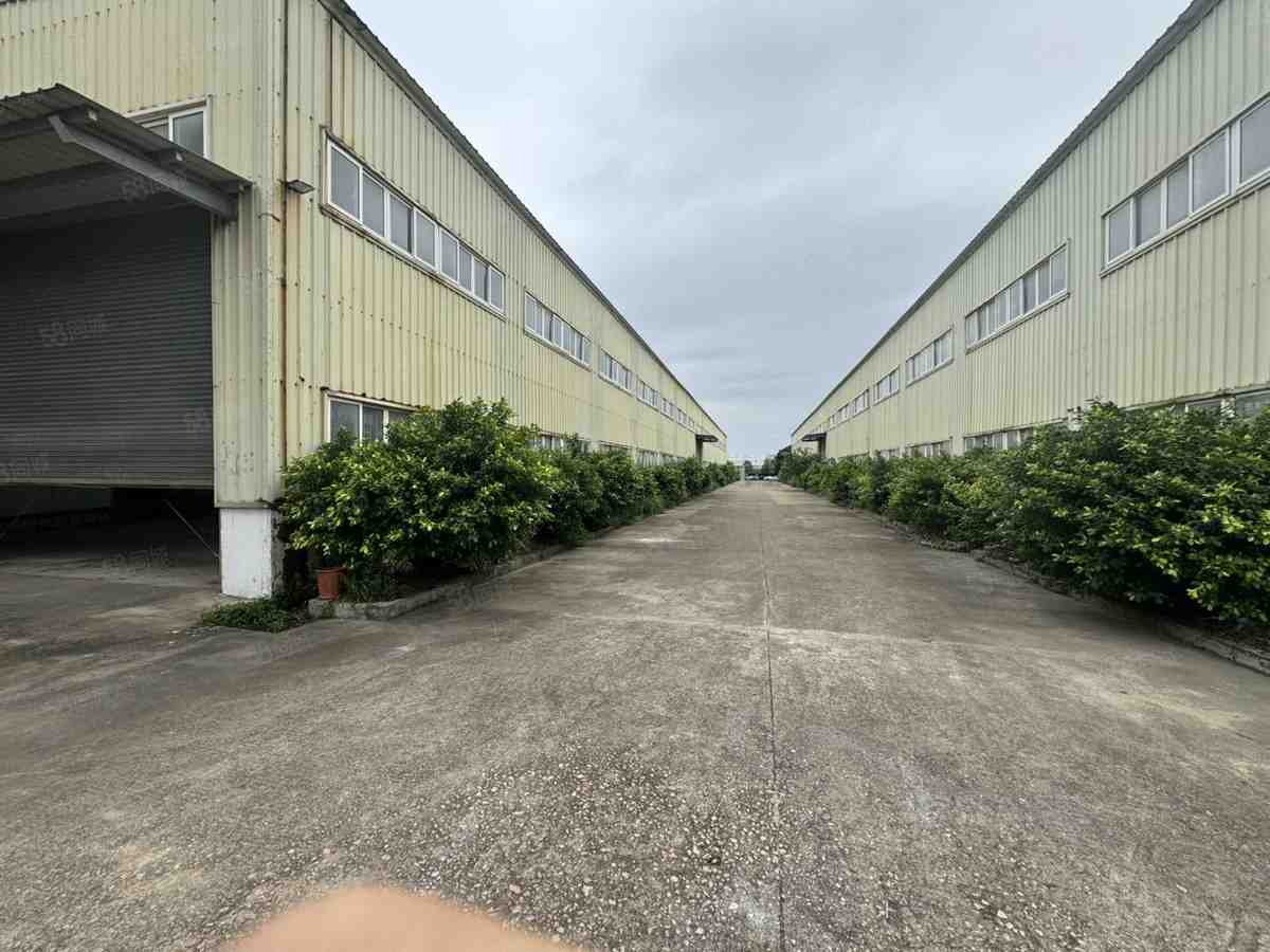 可分租斗门斗门厂厂房出租单层，珠海斗门镇独栋厂房4000平米