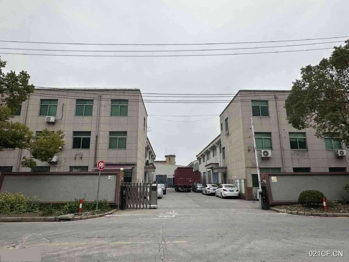 上海奉贤青村单层3200㎡厂房出租
