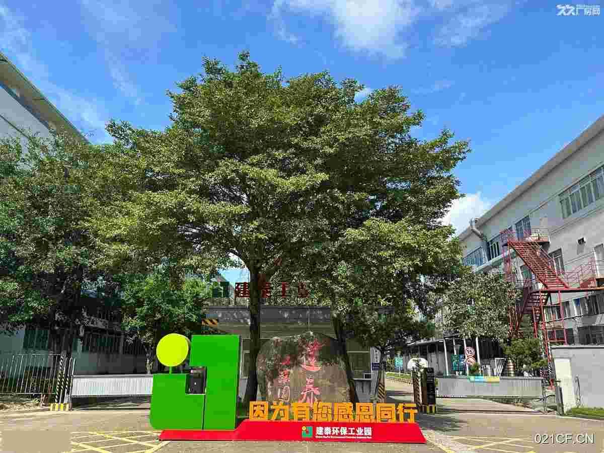 珠海斗门厂房出租实景图2