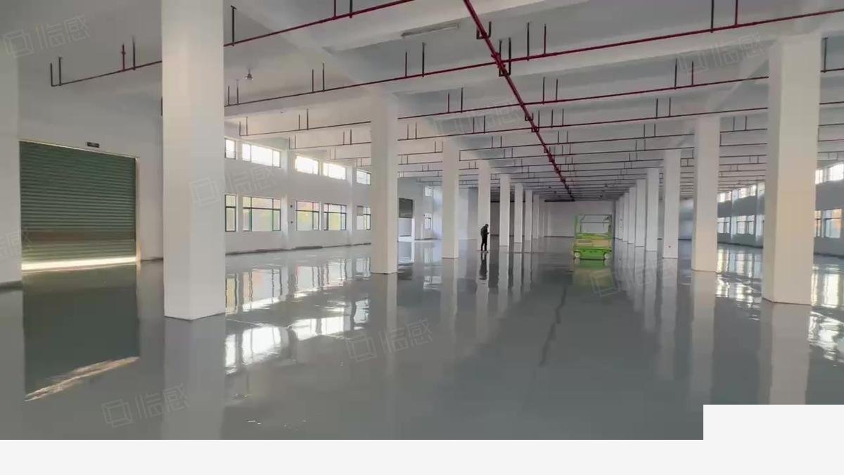上海上海闵行双柏路独栋厂房场地大丙类消防可生产食品加工研发物流厂房出租，配套完善