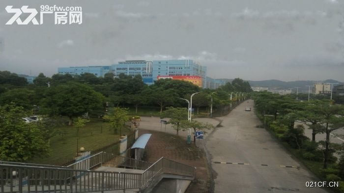 东莞凤岗其他市镇钢架 (可分租)12000㎡单层厂房出租