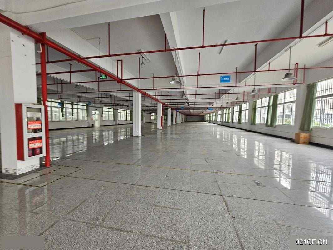 东莞黄江东莞市黄江镇区市镇独栋框架单层10000㎡可分租仓库出租