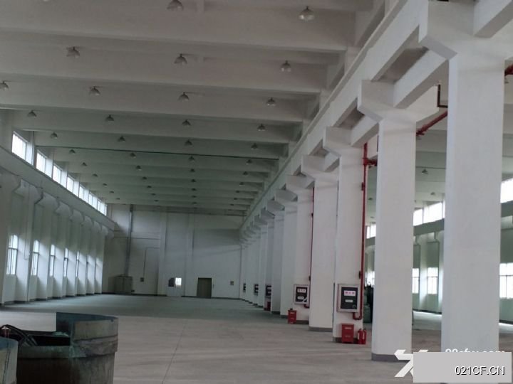 无锡新区长江路（）硕放独栋低价 环境好6300㎡全新可分租厂房出租
