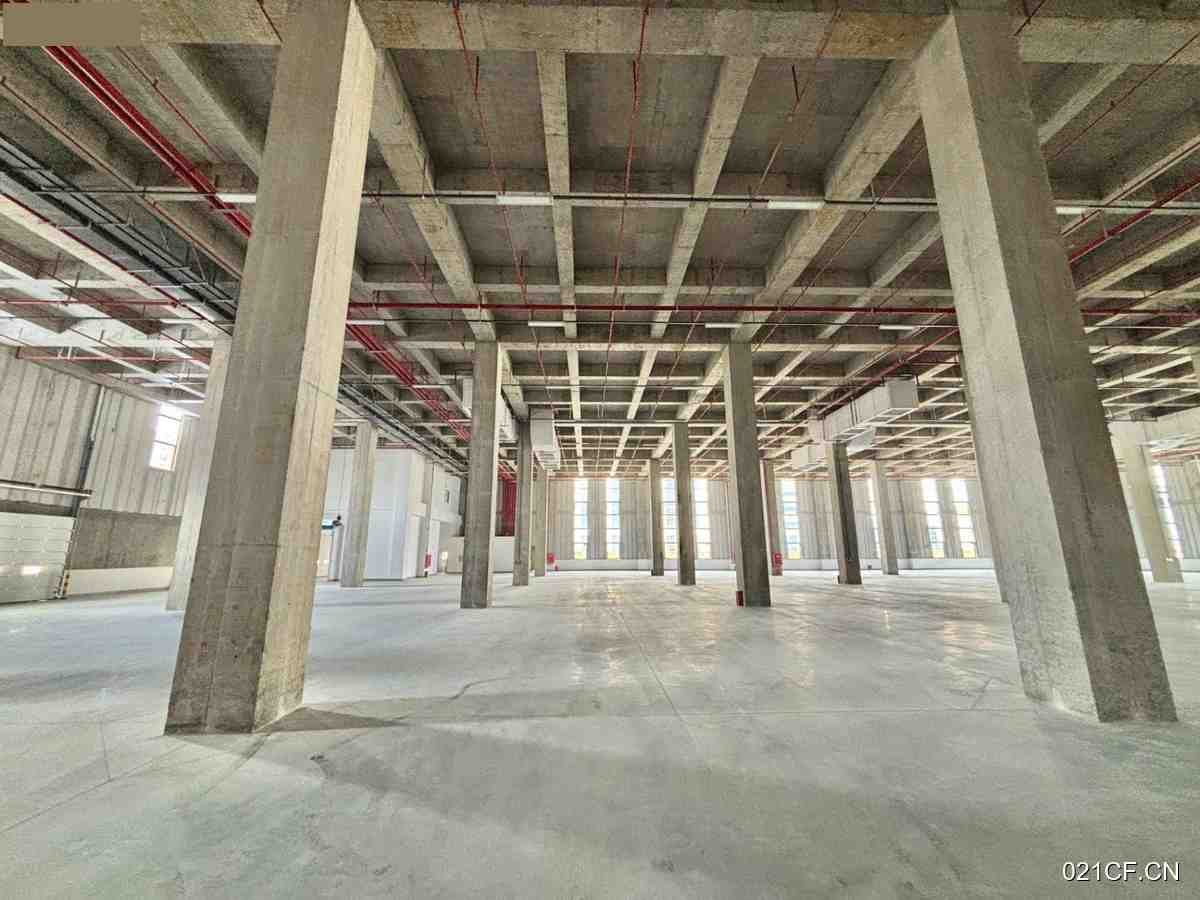 成都温江金马工业园工业园丙一类食品药品类可分30000㎡双层可分租厂房出租
