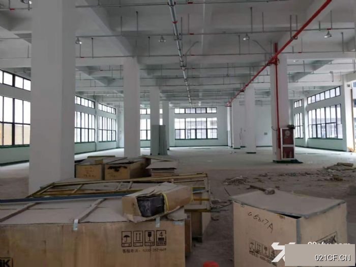 温州龙湾海滨滨海独栋有喷淋地坪漆货梯3吨4000㎡多层全新厂房出租