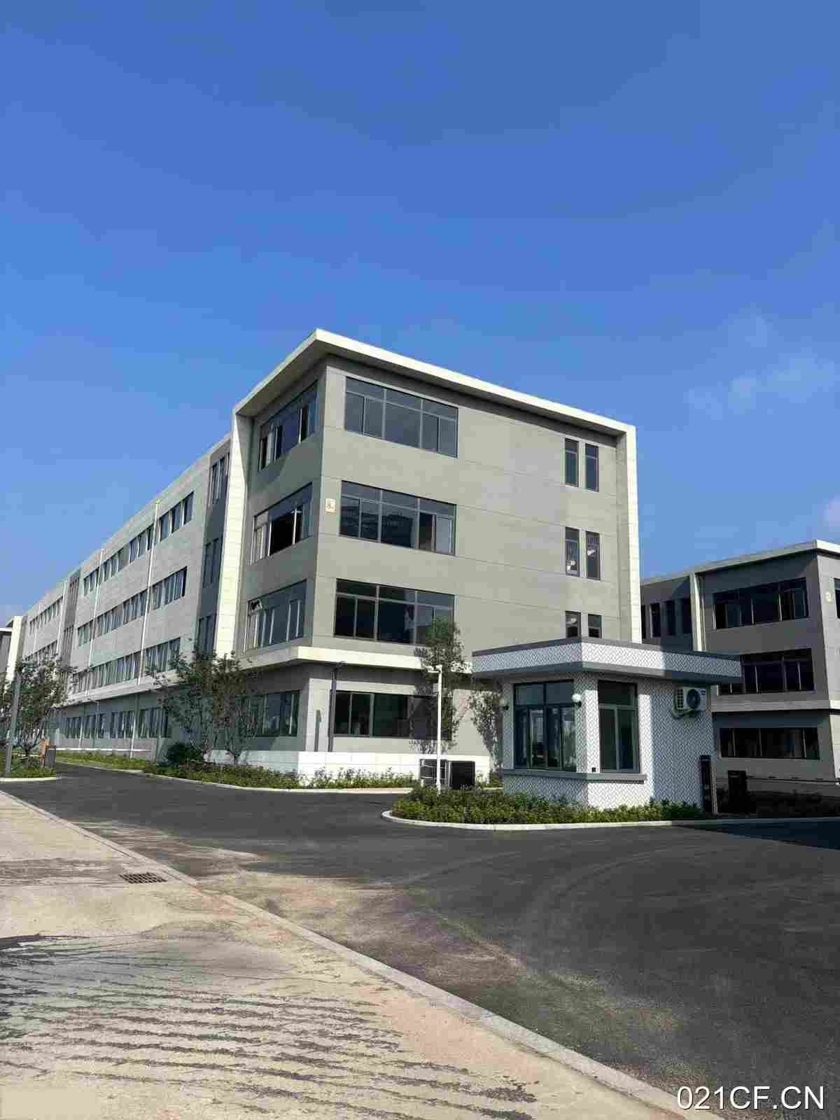 青岛崂山其他全新现对外1500㎡标准厂房多层厂房出租