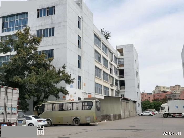 厦门同安西柯环东海域  123楼多层大车进出交通便利厂房出售