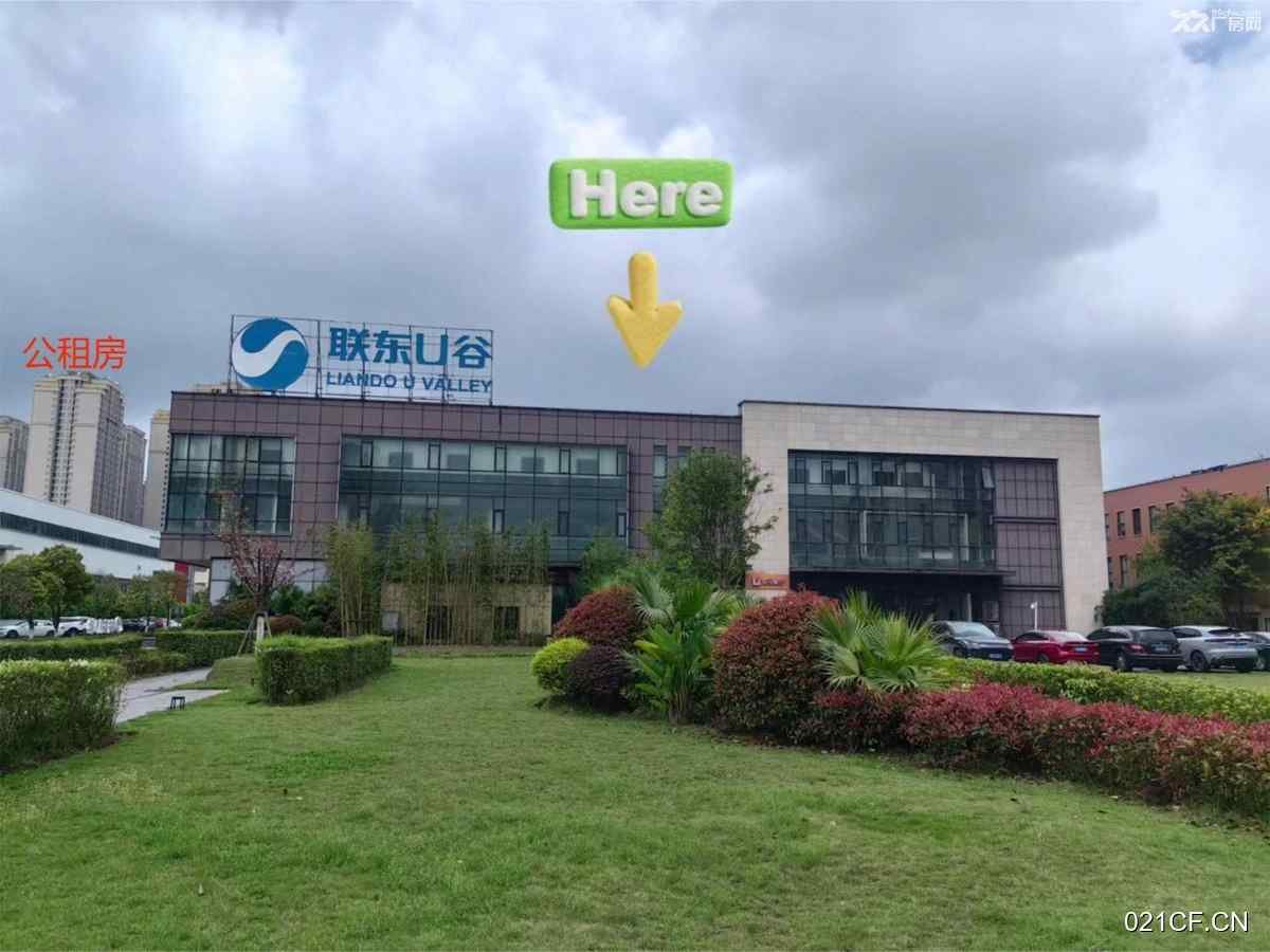 重庆两江新区厂房出租实景图2