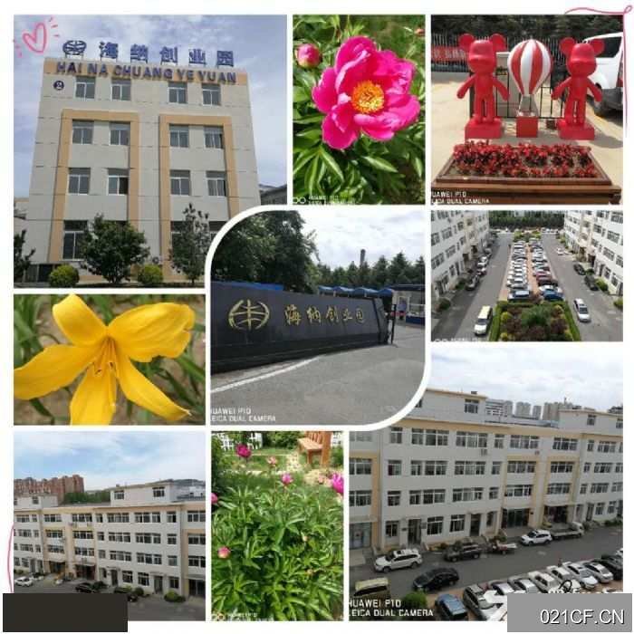 大连开发区双港双D港厂小户型对外1000㎡交通便利层高3.6米厂房出租
