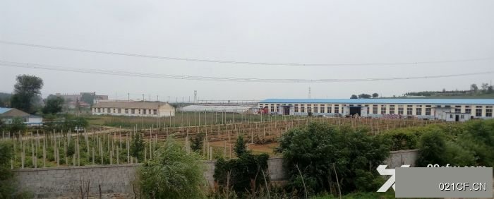 大连金州华家屯华家450㎡独门独院层高5米厂房出售
