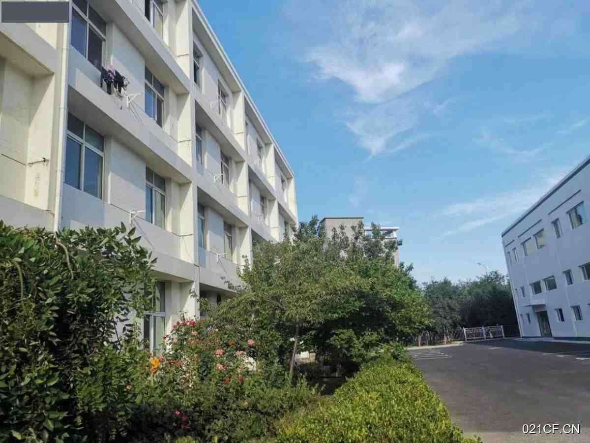 大连开发区双港双D港员工宿舍公寓35㎡可分租层高3米厂房出租