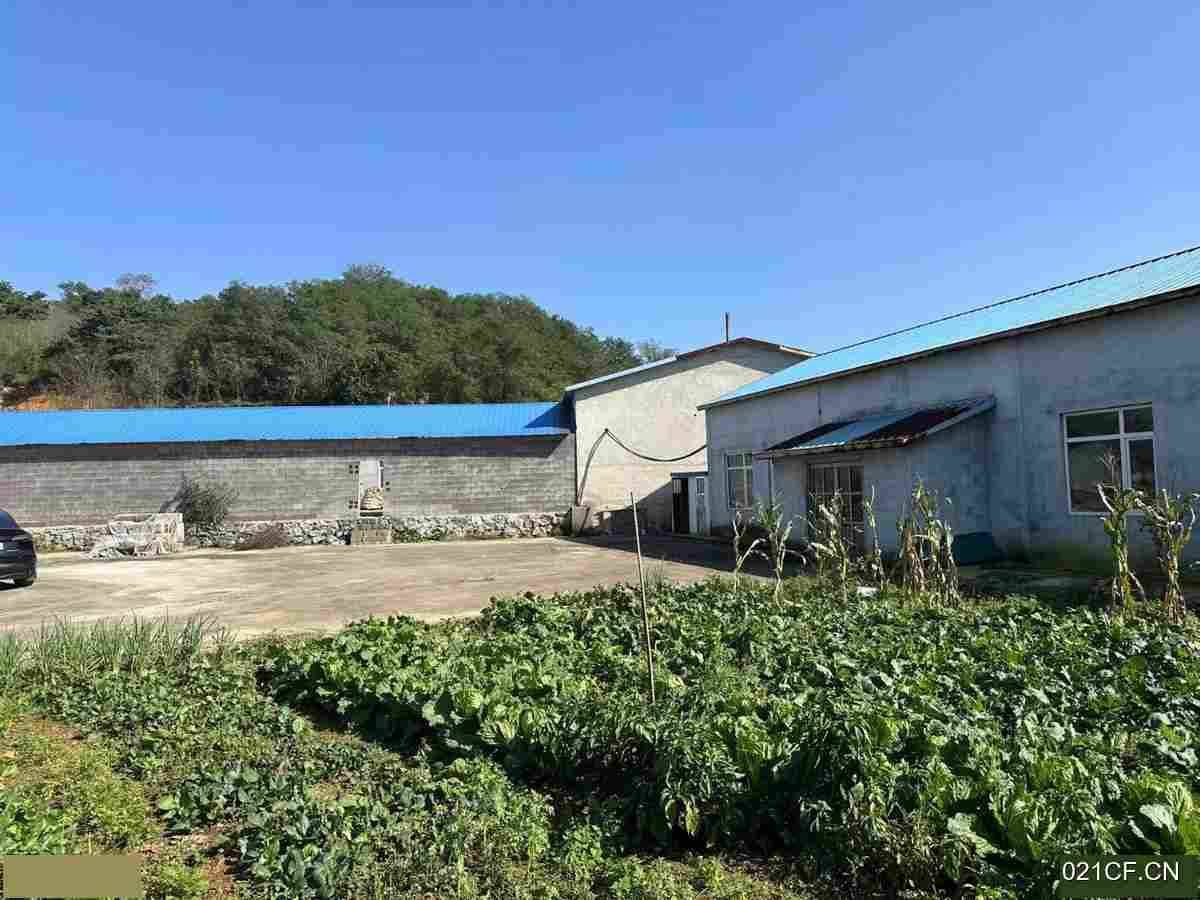 大连普兰店厂房出租实景图2