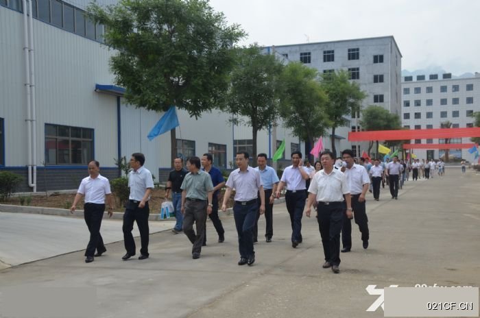 西安周至厂房出租实景图2