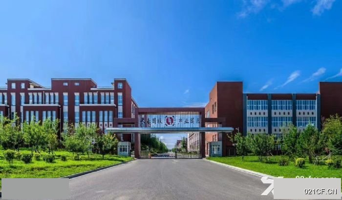 长春高新厂房出售实景图2