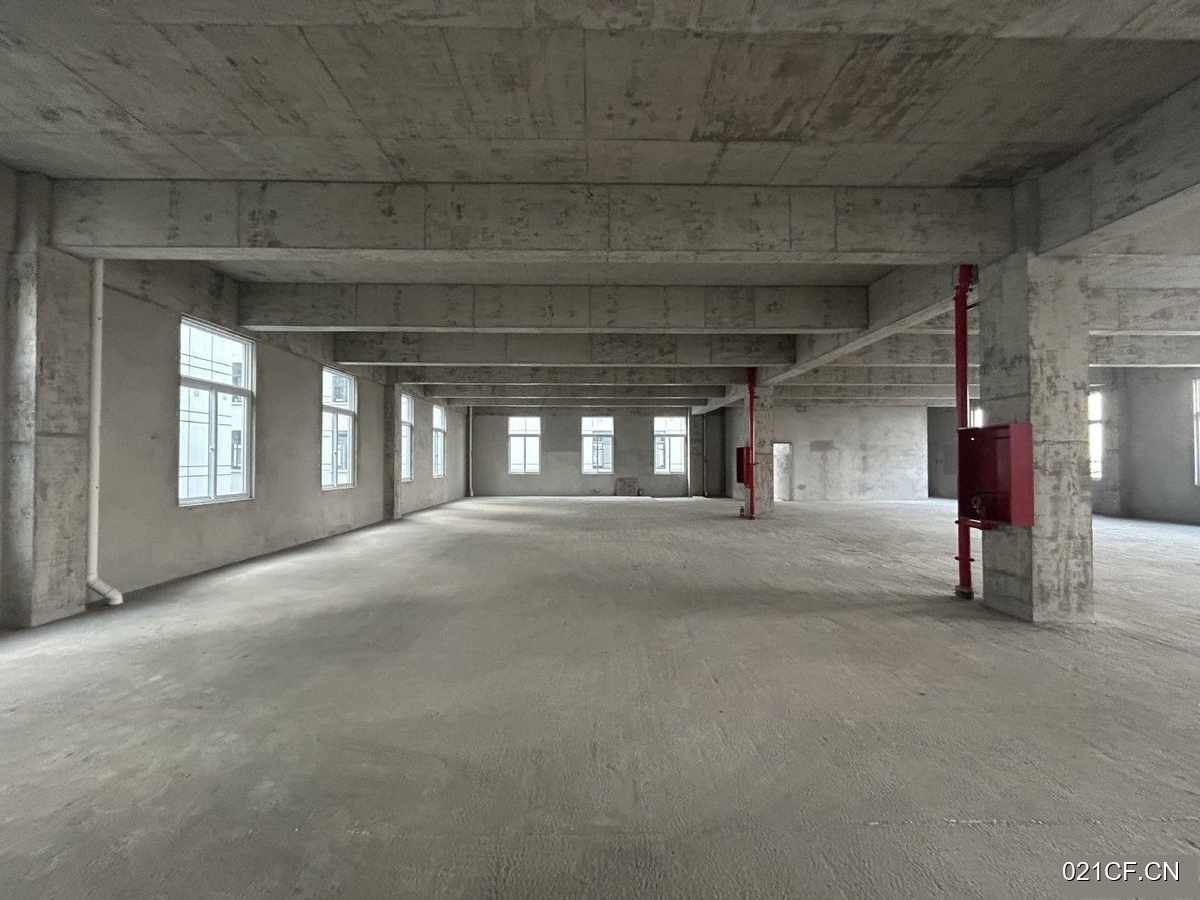 南京江宁厂房出售实景图2