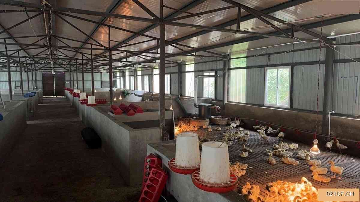 昆明富民厂房出租实景外观