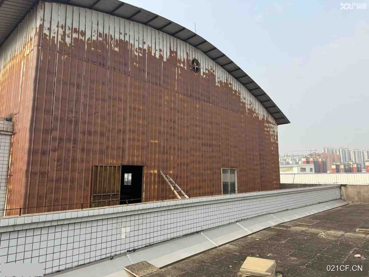 南宁青秀厂房出租实景图2