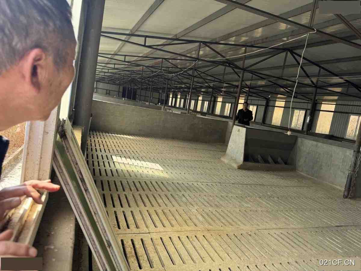 昆明富民厂房出租实景图2