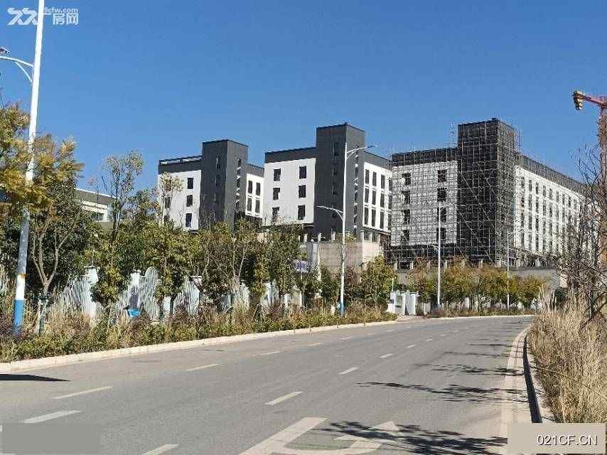 昆明呈贡洛羊大冲工业园大冲工业园区混泥土砖砌结构880000㎡独栋标准厂房单层厂房出租