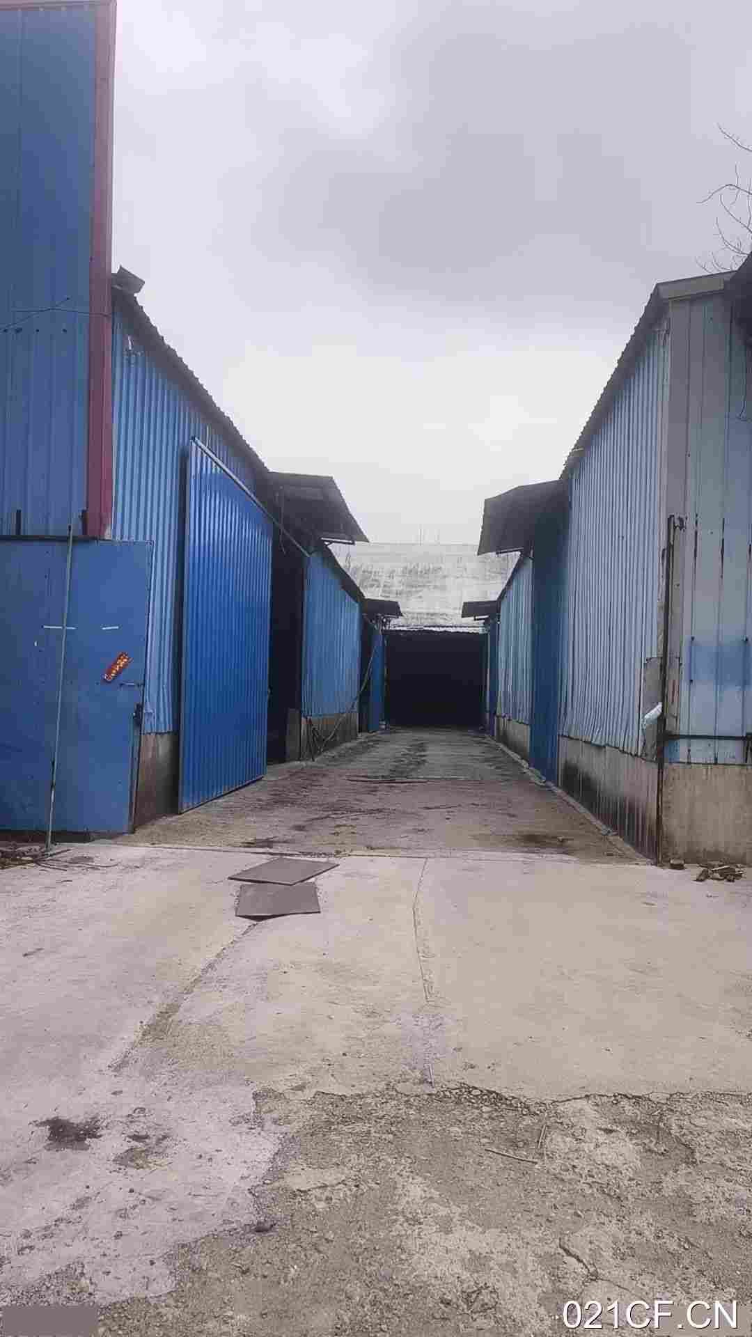 徐州邳州厂房出租实景外观