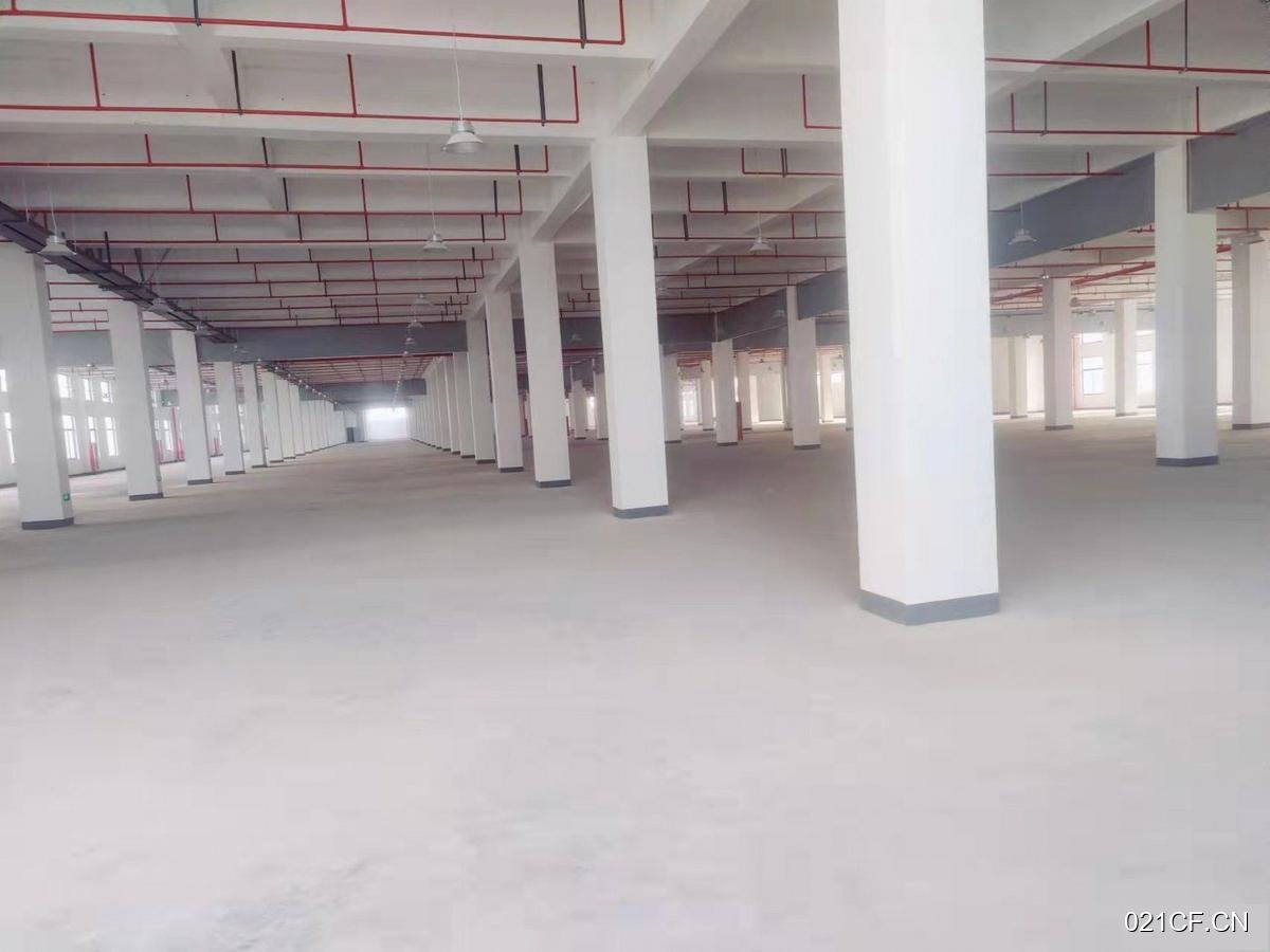 金华金东厂房出租实景图2