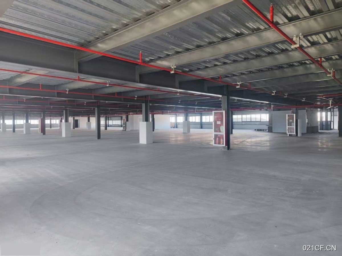 金华东阳厂房出租实景图2