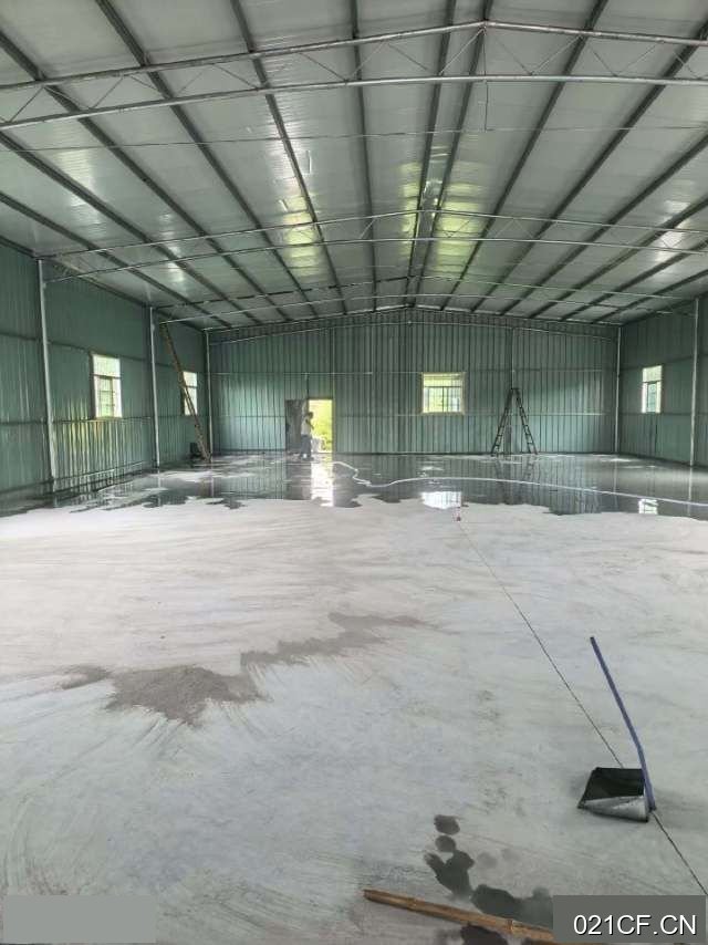 台州路桥路南应家路南标准810㎡独门独院标准厂房单层厂房出租