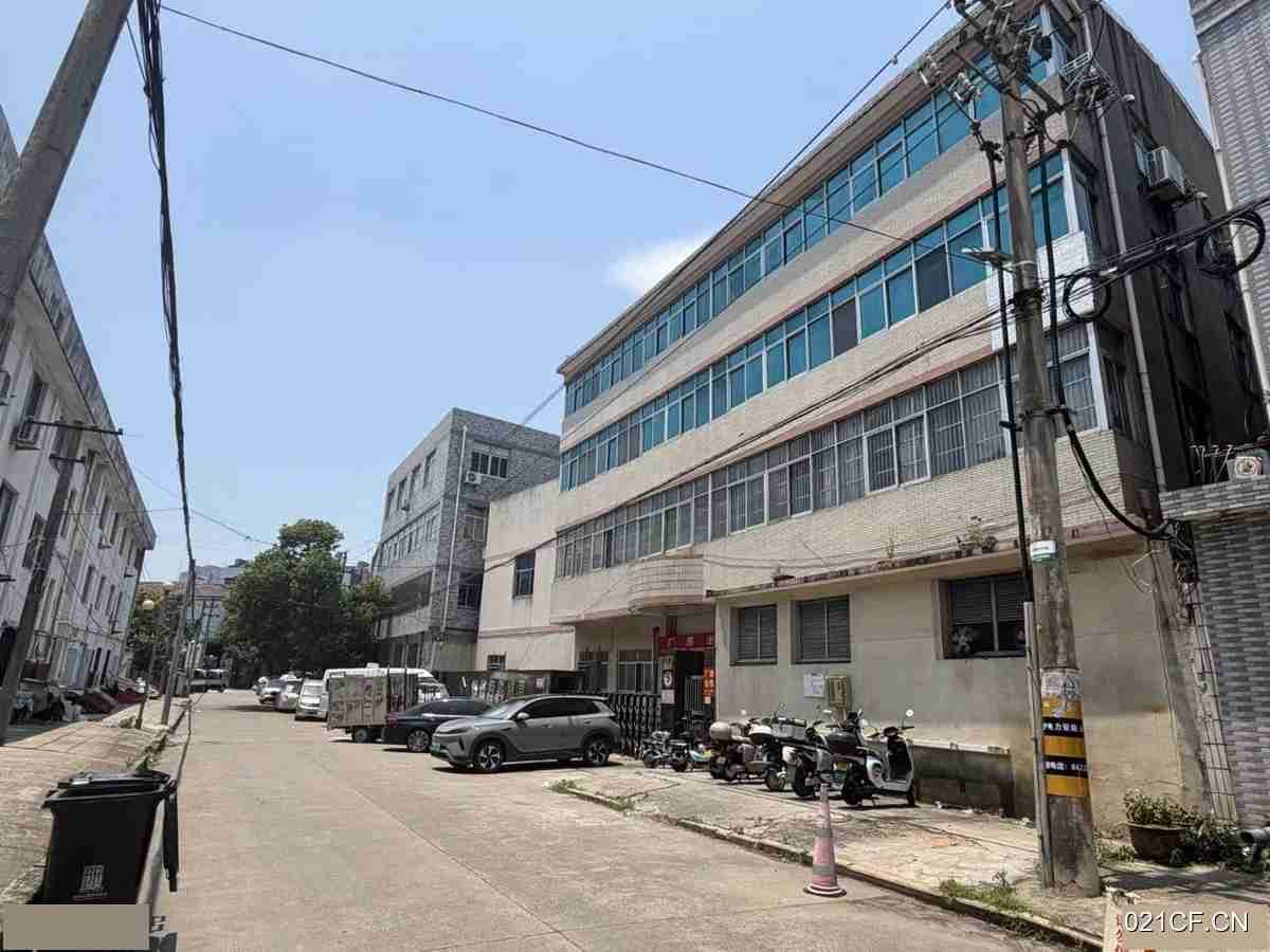 台州温岭厂房出售实景图2